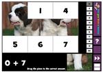 Puzzle Facts 